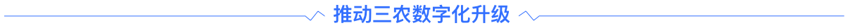 浪潮数字乡村分割线2