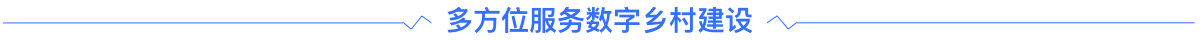 浪潮数字乡村分割线